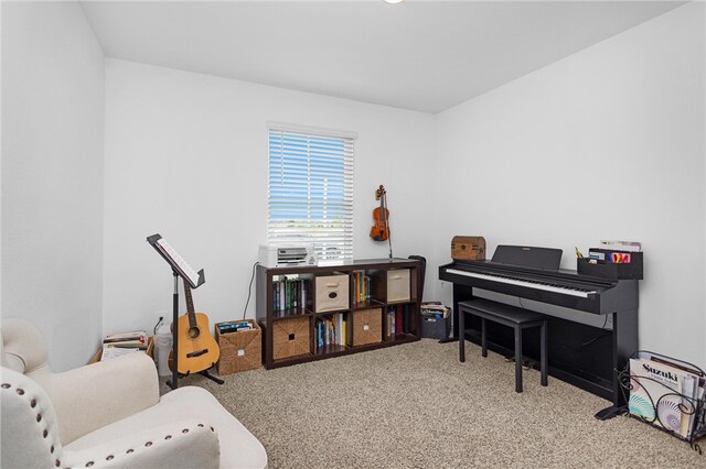 1147 Buffalograss Trl, Sealy, TX 77474 - sitting room featuring carpet flooring