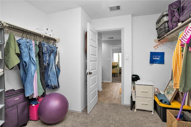 1147 Buffalograss Trl, Sealy, TX 77474 - spacious closet featuring carpet floors