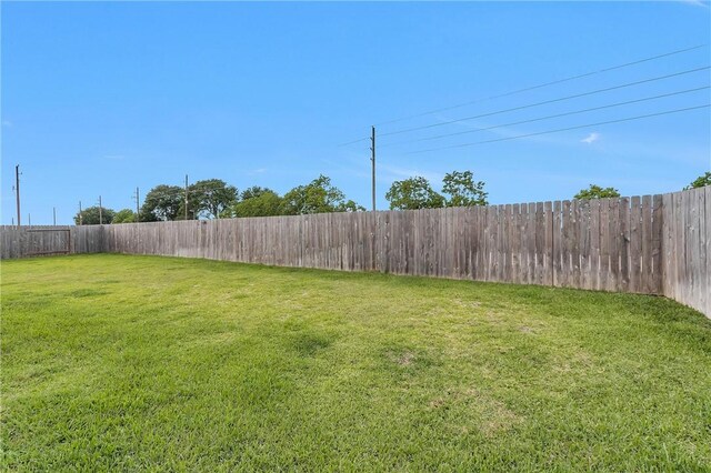 1147 Buffalograss Trl, Sealy, TX 77474 - view of yard
