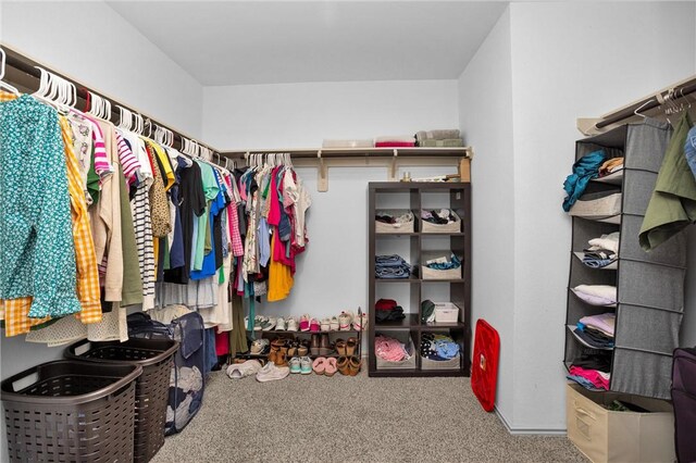 1147 Buffalograss Trl, Sealy, TX 77474 - spacious closet featuring carpet