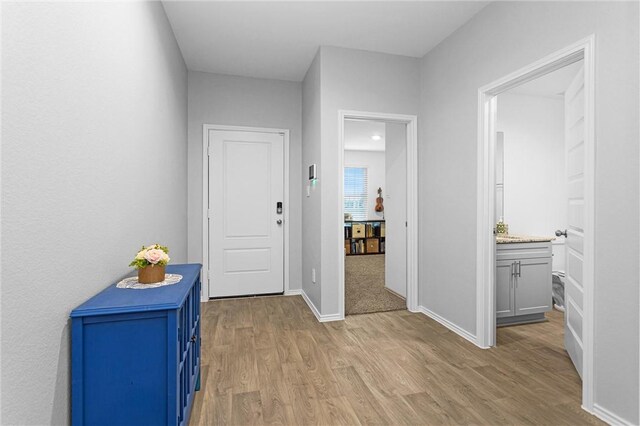 1147 Buffalograss Trl, Sealy, TX 77474 - corridor with light wood finished floors and baseboards
