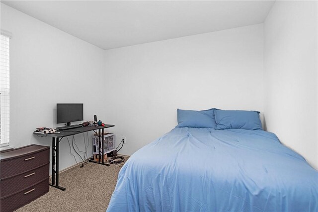 1147 Buffalograss Trl, Sealy, TX 77474 - view of carpeted bedroom