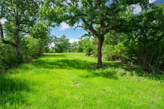 133ACRES US Highway 79 W, Buffalo, TX 75831