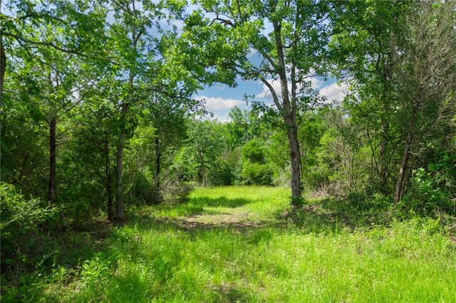 133ACRES US Highway 79 W, Buffalo, TX 75831