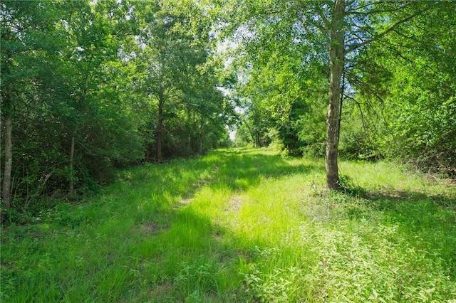 133ACRES US Highway 79 W, Buffalo, TX 75831