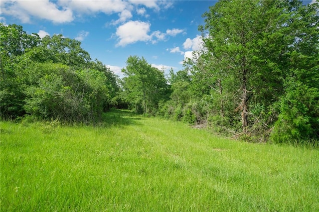 133ACRES US Highway 79 W, Buffalo, TX 75831