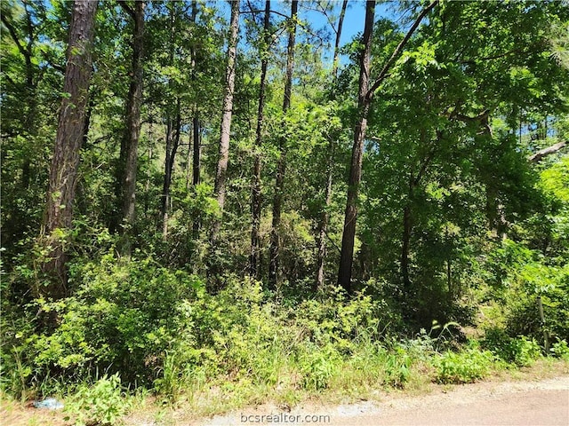 Listing photo 3 for LOT75 Pinebrook Dr, Plantersville TX 77363