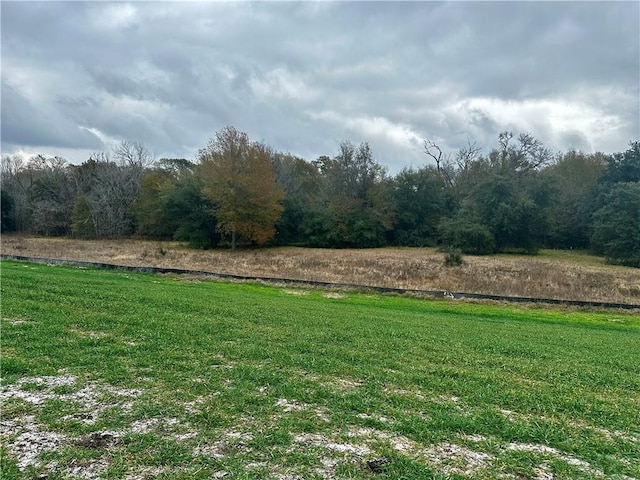 9999 Fm 60 E, Somerville, TX 77879 - photo 4
