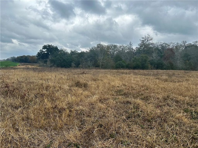 9999 Fm 60 E, Somerville, TX 77879 - photo 1
