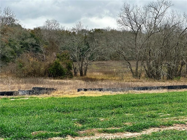 9999 Fm 60 E, Somerville, TX 77879 - photo 6