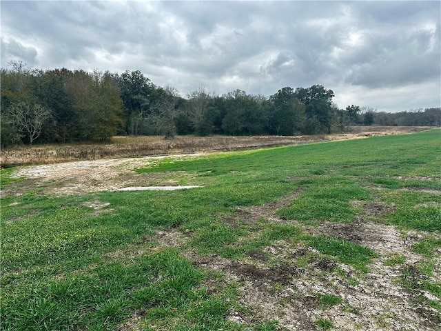 9999 Fm 60 E, Somerville, TX 77879 - photo 5