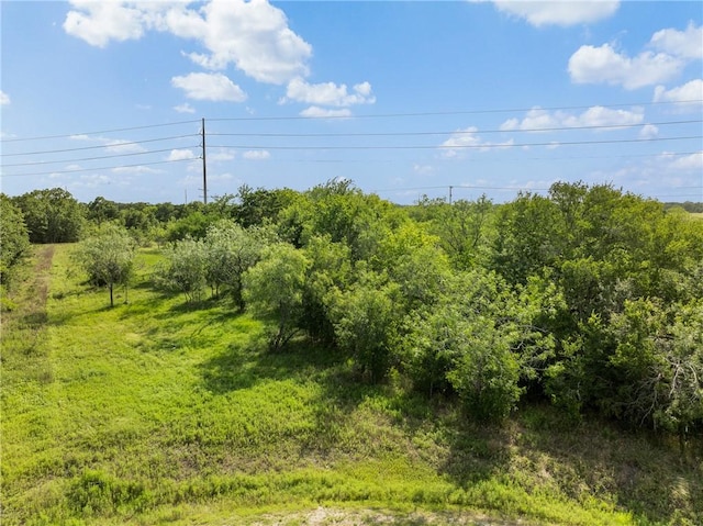 4024 Hollow Ct, College Station, TX 77845 - photo 18