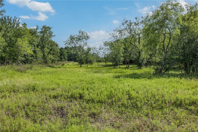 4024 Hollow Ct, College Station, TX 77845 - photo 8