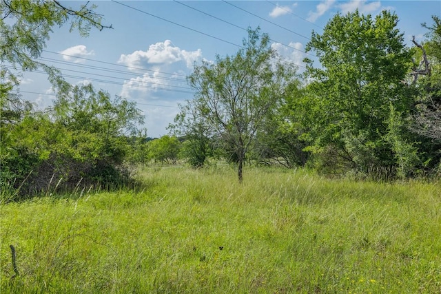 4024 Hollow Ct, College Station, TX 77845 - photo 10