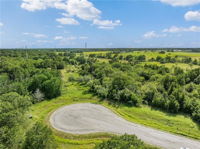 4024 Hollow Ct, College Station, TX 77845 - photo 1