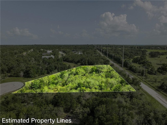 4024 Hollow Ct, College Station, TX 77845 - photo 13