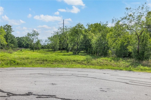 4024 Hollow Ct, College Station, TX 77845 - photo 7