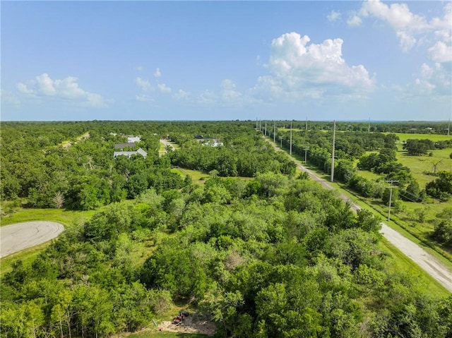 4024 Hollow Ct, College Station, TX 77845 - photo 14