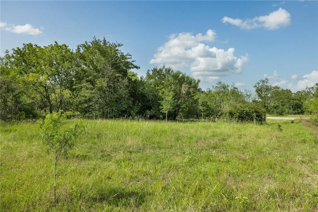 4024 Hollow Ct, College Station, TX 77845 - photo 11