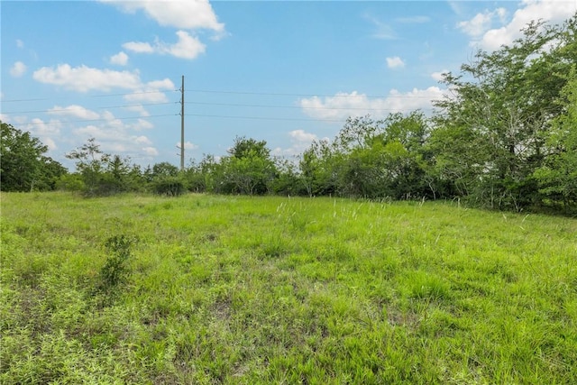 4024 Hollow Ct, College Station, TX 77845 - photo 9
