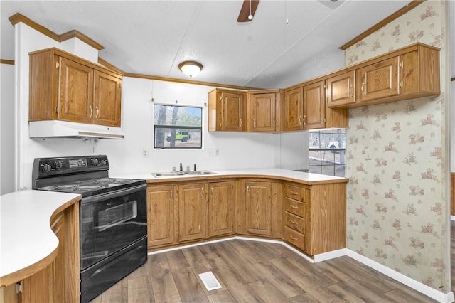 SPLITA4794 Tall Pine Rd, Navasota, TX 77868 - kitchen with black range with electric cooktop, under cabinet range hood, wood finished floors, wallpapered walls, and light countertops