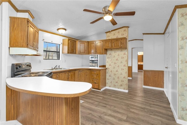 SPLITA4794 Tall Pine Rd, Navasota, TX 77868 - kitchen featuring electric stove, under cabinet range hood, vaulted ceiling, a peninsula, and wood finished floors