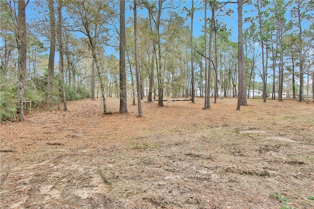 SPLITA4794 Tall Pine Rd, Navasota, TX 77868 - view of yard