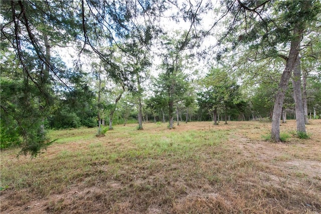 TBD Grape Cir Unit 1.2, Acres Somerville TX, 77879 land for sale