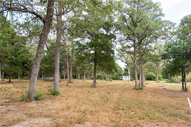 Listing photo 3 for TBD Grape Cir Unit 1.2, Acres Somerville TX 77879