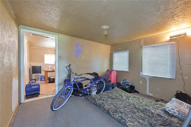 workout area featuring a textured ceiling, a textured wall, and carpet flooring