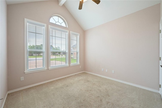 2705 Colony Hills Dr, Bryan, TX 77808 - photo 11