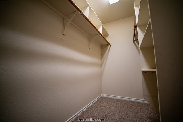 spacious closet with carpet