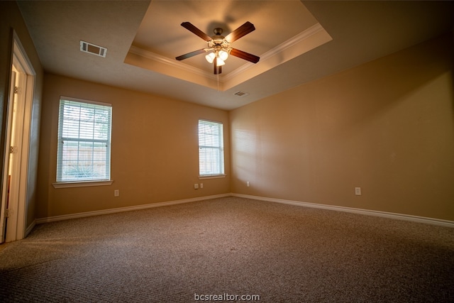 unfurnished room featuring a raised ceiling, a wealth of natural light, and ceiling fan