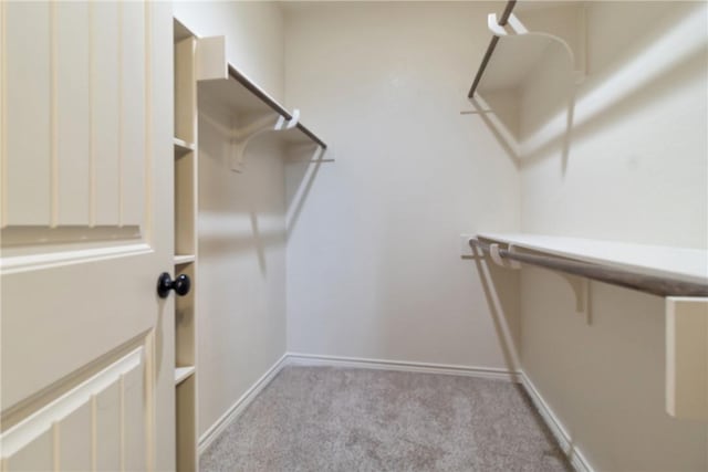 spacious closet featuring light colored carpet