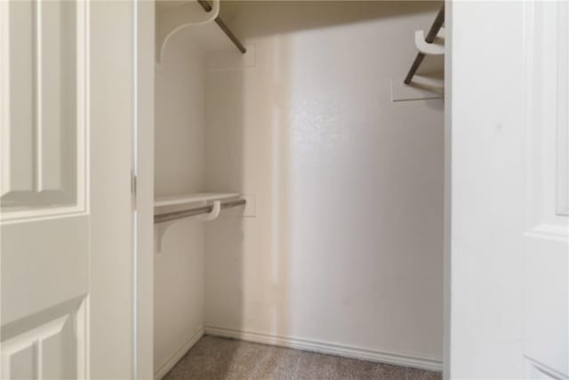 walk in closet with light colored carpet