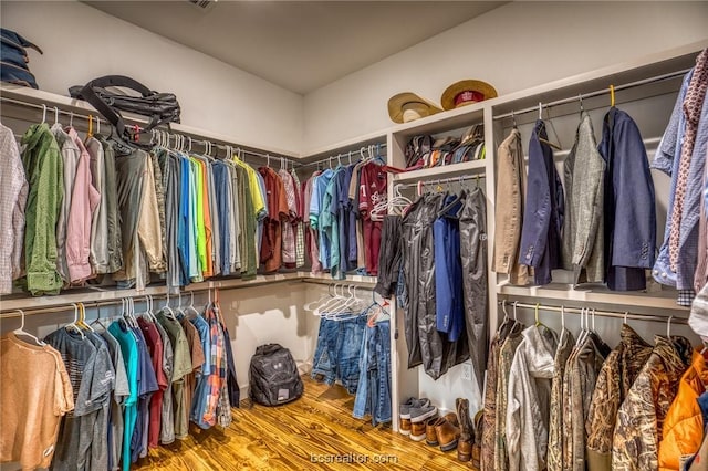 spacious closet with wood-type flooring