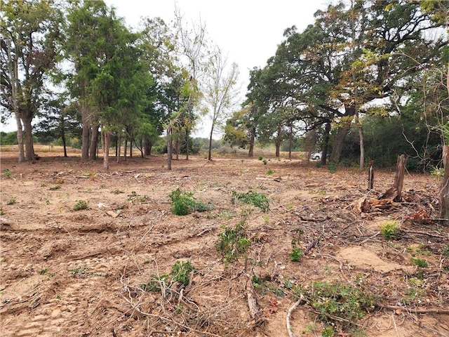 Listing photo 3 for 1.75AC Fm 1361 E, Somerville TX 77879