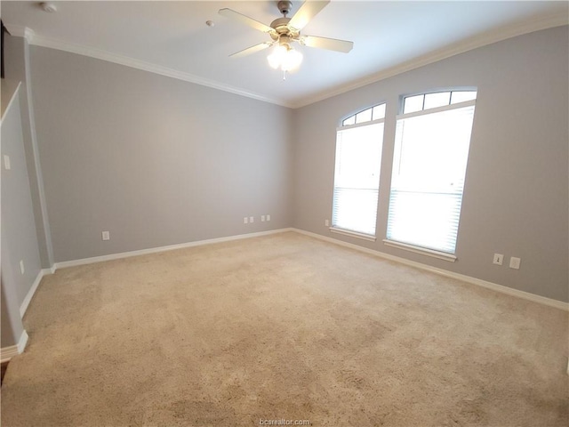 carpeted empty room with crown molding and ceiling fan