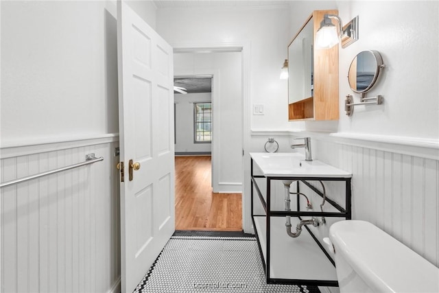 bathroom featuring vanity, hardwood / wood-style flooring, and toilet