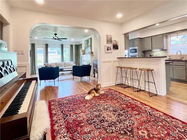 living room with light wood-type flooring and ceiling fan