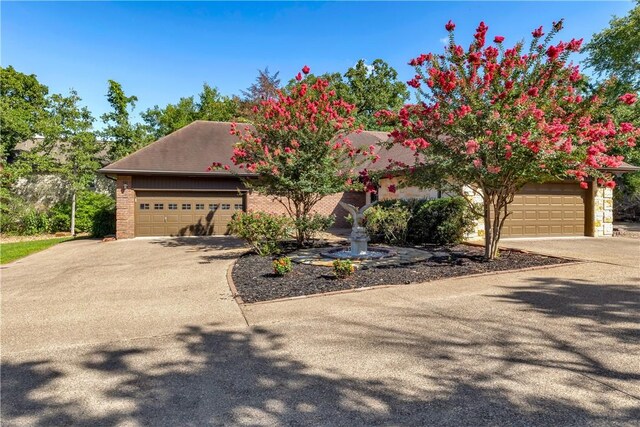 view of property hidden behind natural elements featuring aphalt driveway