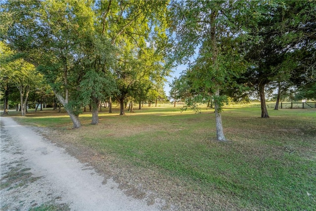 view of surrounding community