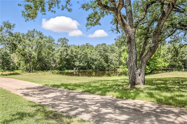 1433 Mcgill Ln, Bryan, TX 77808 - photo 42