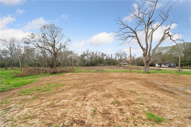 view of yard featuring a rural view