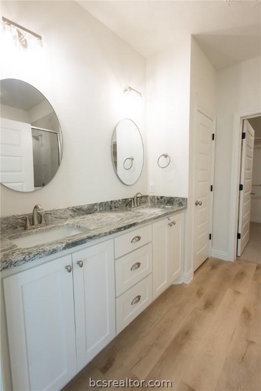 bathroom featuring wood-type flooring and vanity