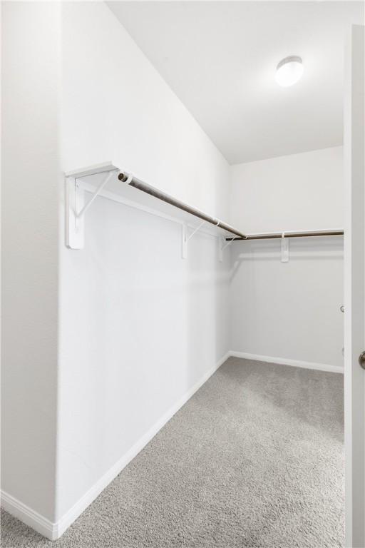 walk in closet with carpet floors