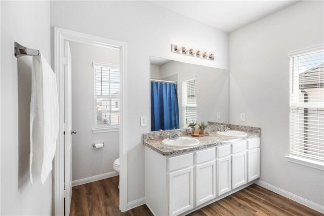 bathroom with hardwood / wood-style flooring, vanity, and toilet