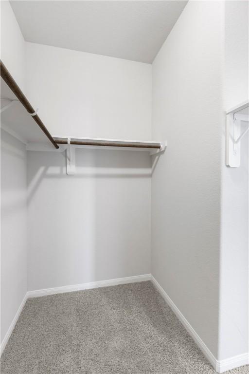 spacious closet with carpet floors