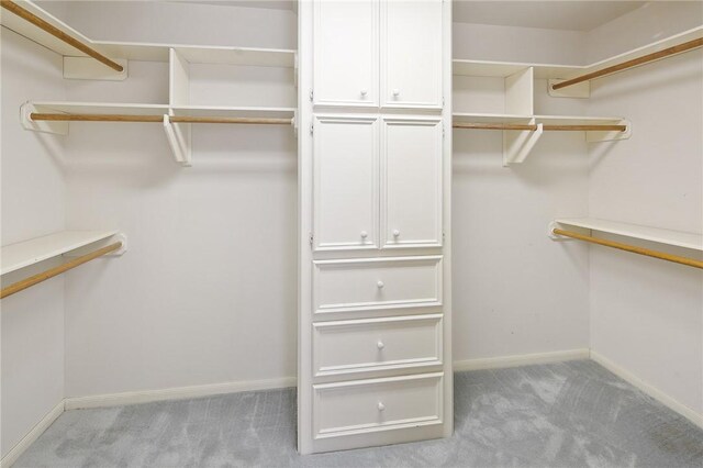 spacious closet featuring light carpet