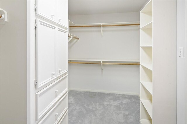 walk in closet with carpet floors